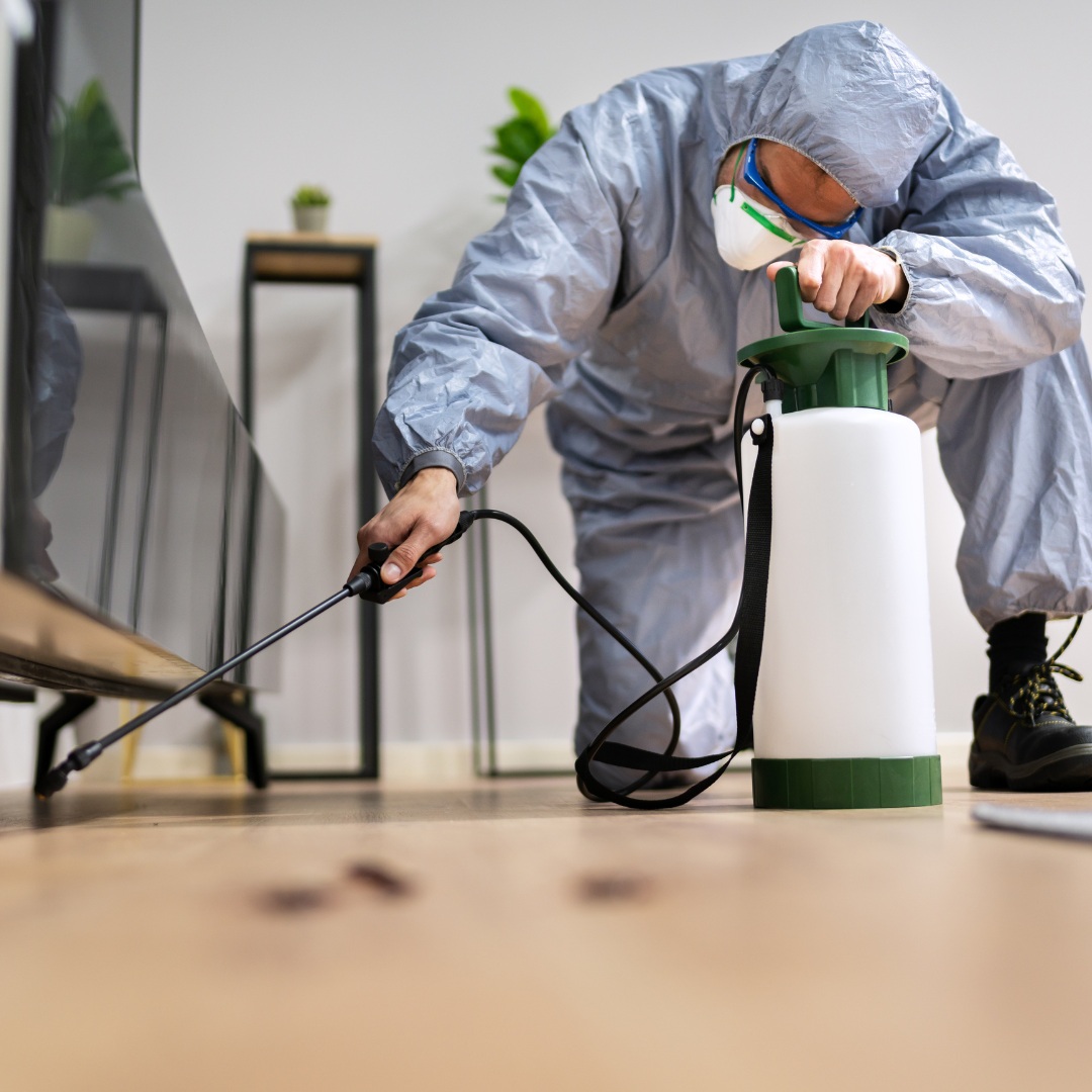 Residential & Commercial Pest Control Melbourne | Pakenham | Rowville