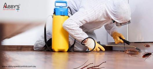 Effective Cockroach Control Services in Australia: A Complete Guide for a Pest-Free Home