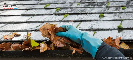 Professional Gutter Cleaning Services in Australia – Keep Your Home Safe & Clean