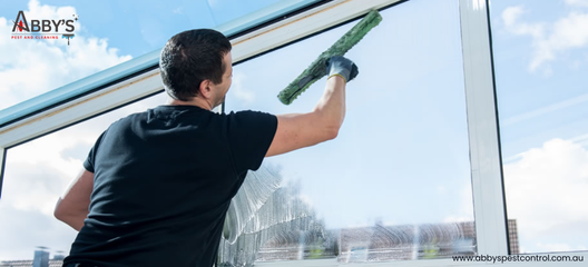 Professional Window Cleaning Services in Australia: Keeping Your Home & Business Sparkling Clean