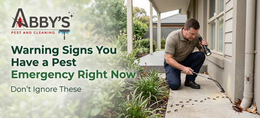 Warning Signs You Have a Pest Emergency Right Now — Don’t Ignore These