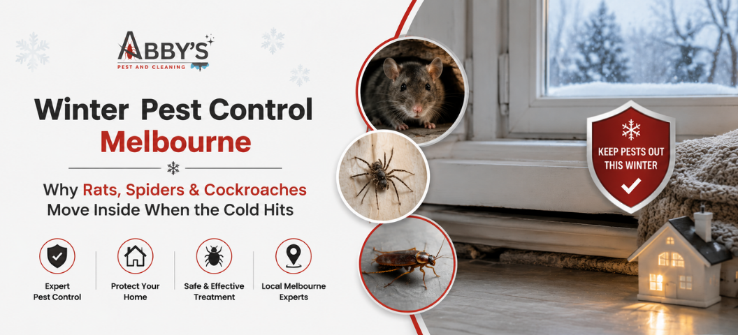 Winter Pest Control Melbourne — Why Rats, Spiders & Cockroaches Move Inside When the Cold Hits