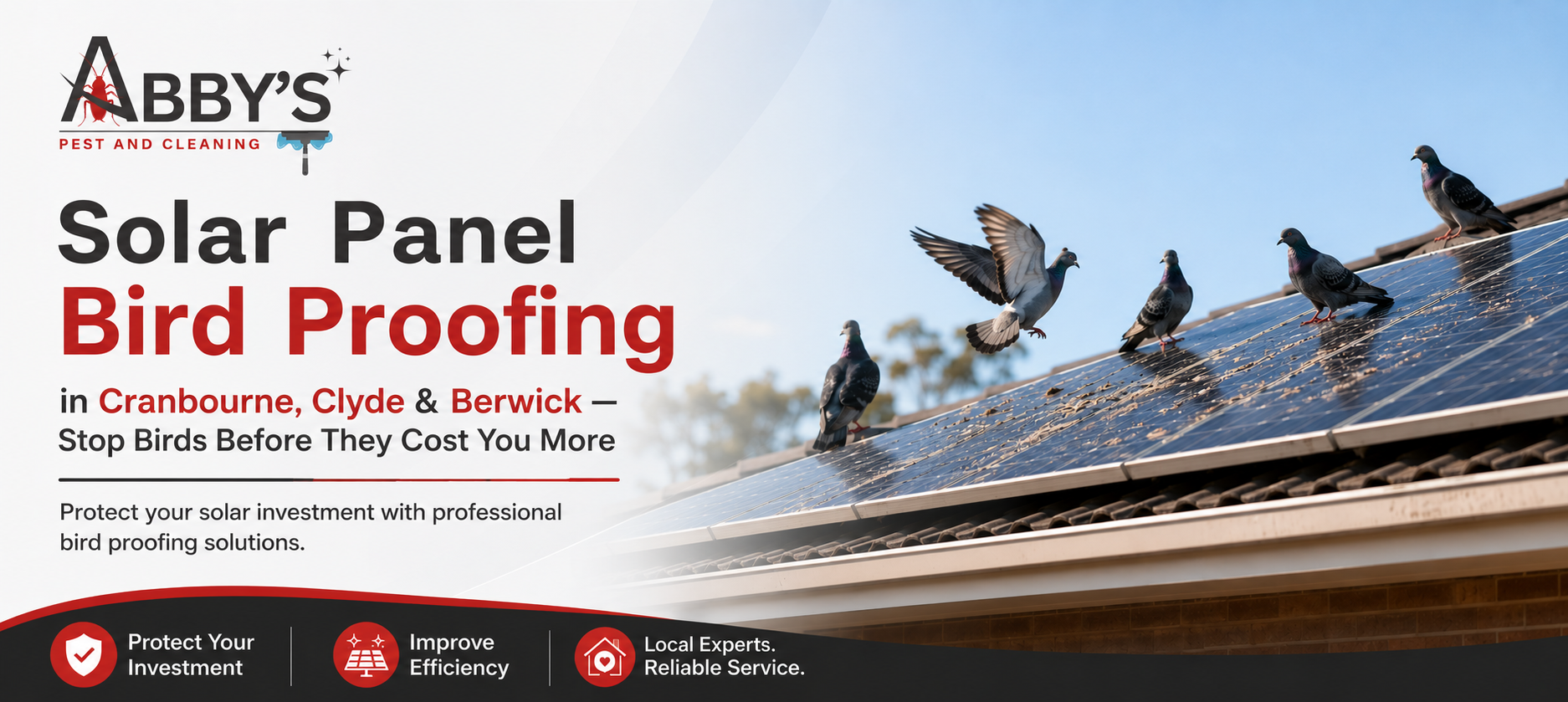 Solar Panel Bird Proofing in Cranbourne, Clyde & Berwick — Stop Birds Before They Cost You More