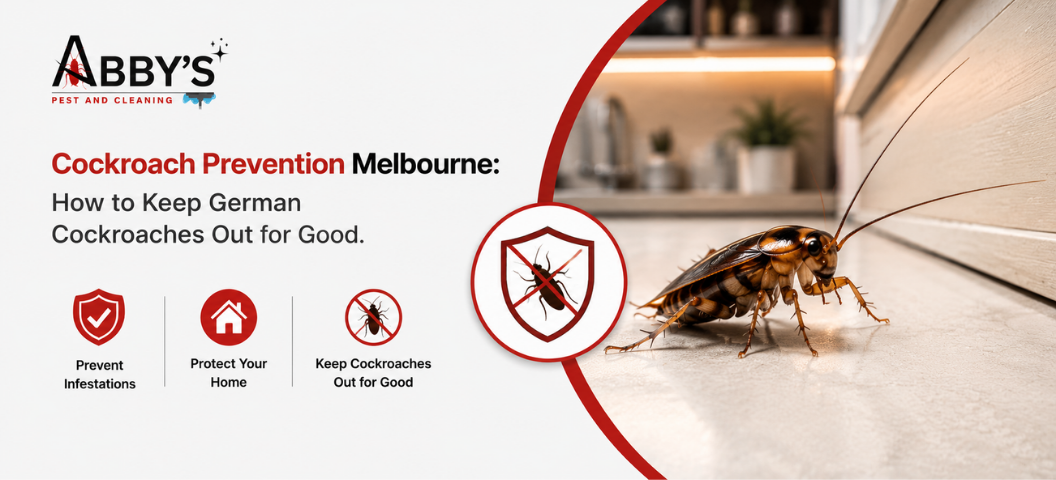 Cockroach Prevention Melbourne: How to Keep German Cockroaches Out for Good