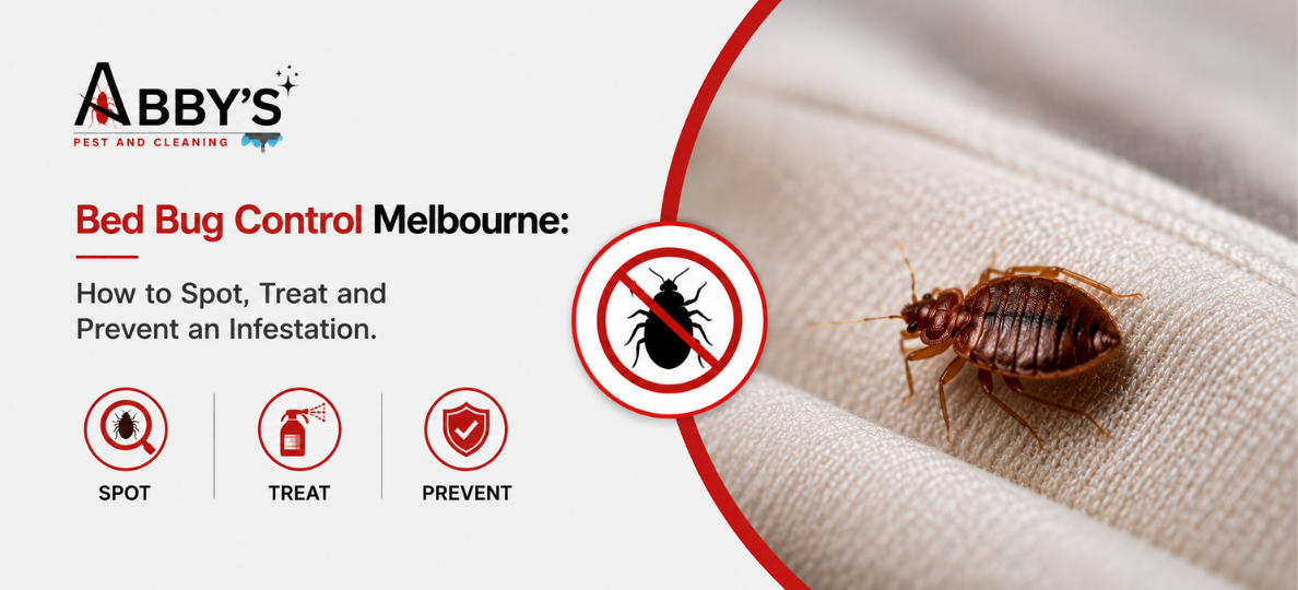 Bed Bug Control Melbourne: How to Spot, Treat and Prevent an Infestation
