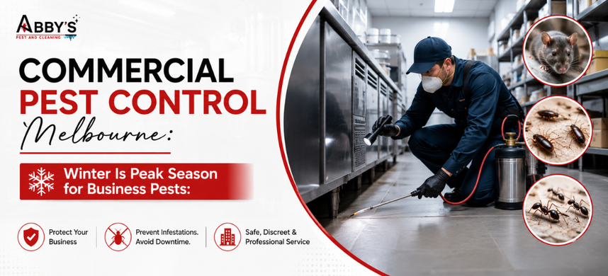 Commercial Pest Control Melbourne: Winter Is Peak Season for Business Pests