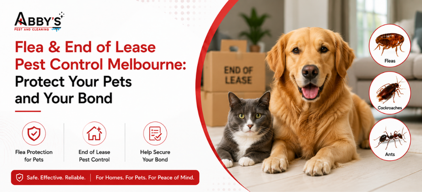 Flea & End of Lease Pest Control Melbourne: Protect Your Pets and Your Bond