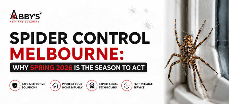 Spider Control Melbourne: Why Spring 2026 Is the Season to Act