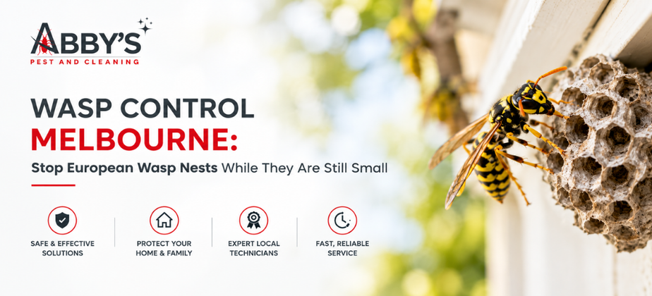 Wasp Control Melbourne: Stop European Wasp Nests While They Are Still Small